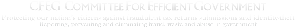 CFEGOV.org: Consumers for Effective Government
